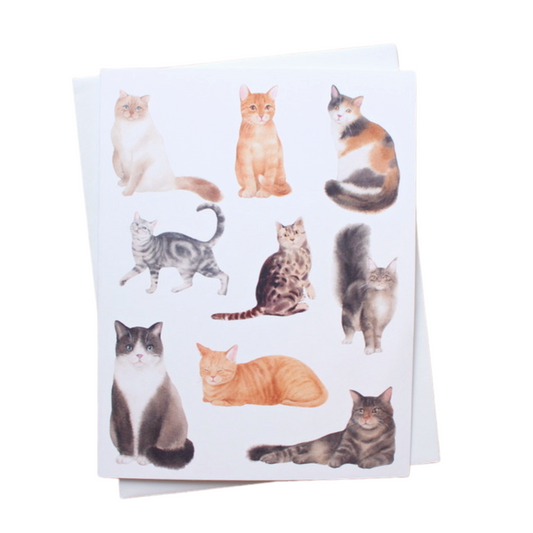 All the Classy Cats Individual Greeting Card