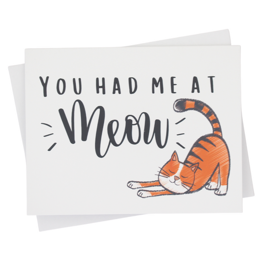 You Had Me at Meow Individual Greeting Card